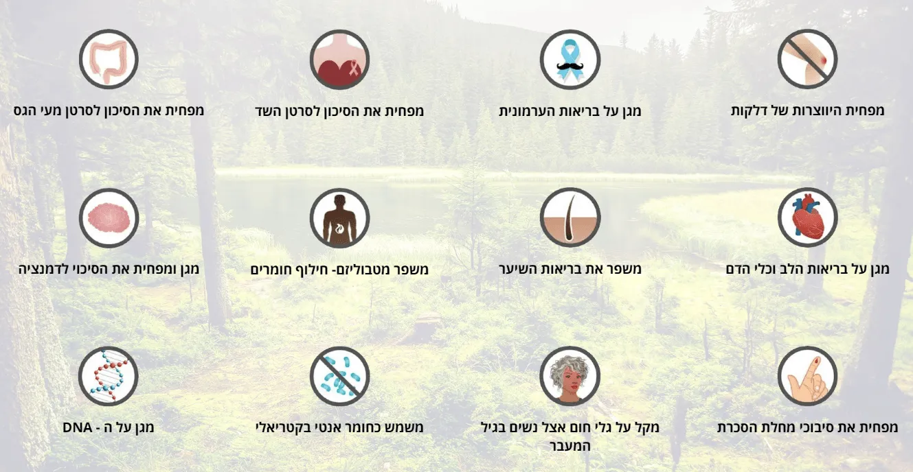 תועלות תזונה עשירה בליגנאנים