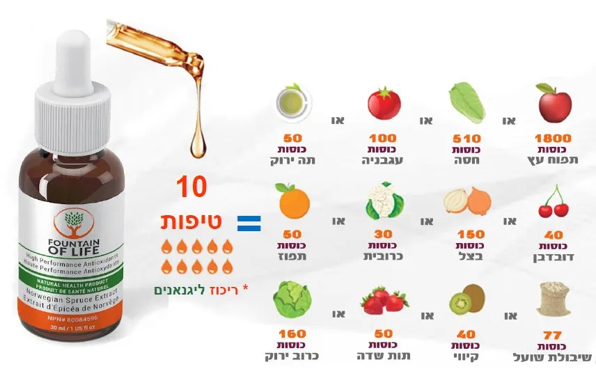 עץ האשוחית הנורבגית הוא המקור הטבעי העשיר ביותר של ליגנאנים